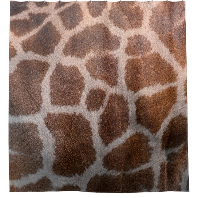 Giraffe skin texture (Front)