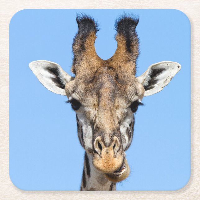 Giraffe Square Paper Coaster (Front)