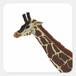 Giraffe Square Sticker