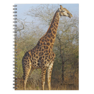 Giraffe Standing Tall Journal