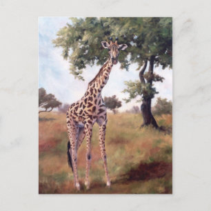 Giraffe Standing Tall Postcard