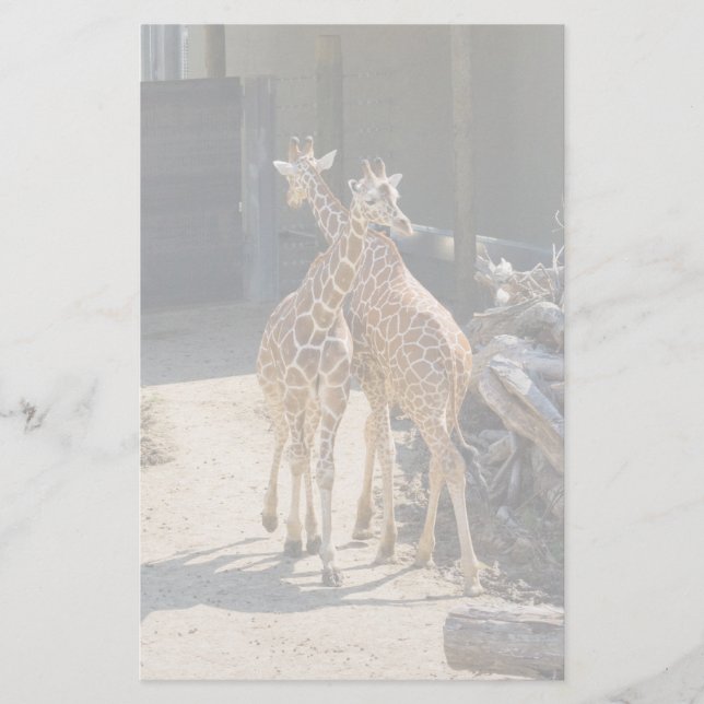 giraffe stationary stationery (Front)