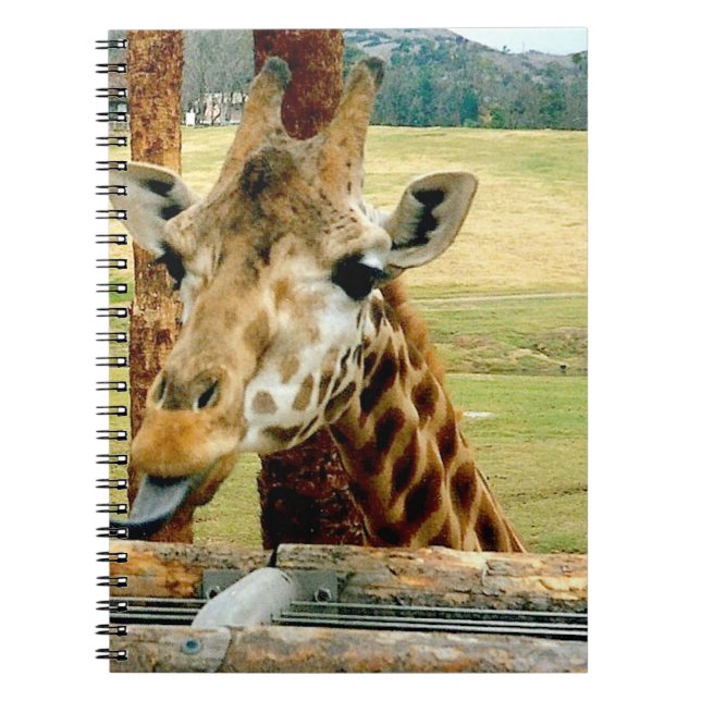 Giraffe Sticking It's Tongue Out Notebook (Front)