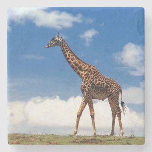 Giraffe Stone Coaster