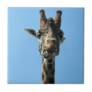 GIRAFFE TILE