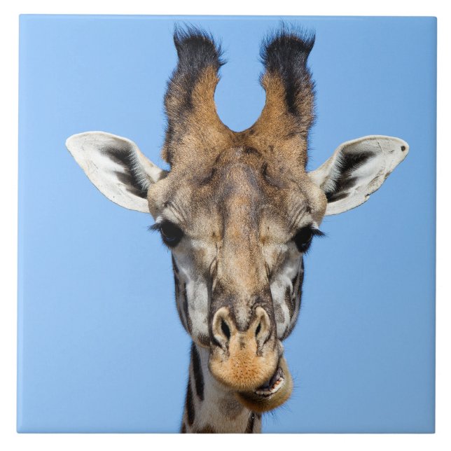 Giraffe Tile (Front)
