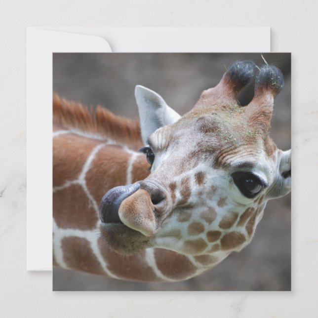 Giraffe Tongue Invitations (Front)