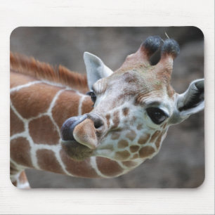 Giraffe Tongue Mouse Pads
