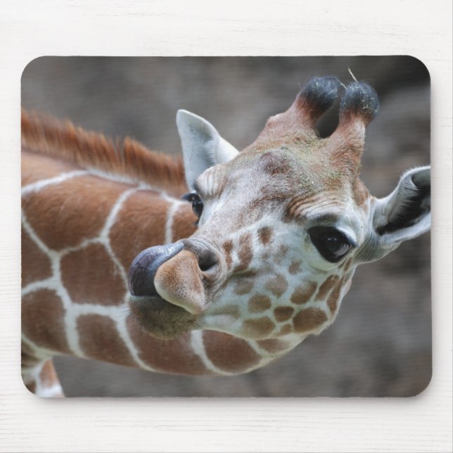 Giraffe Tongue Mouse Pads (Front)