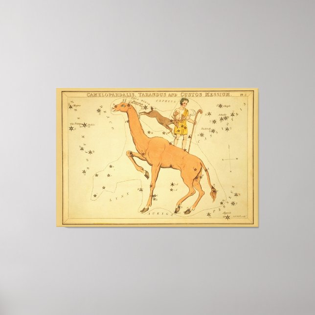 Giraffe - Vintage Astronomical Star Chart Image Canvas Print (Front)