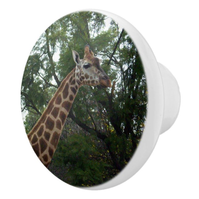 Giraffe Walk With Nature, Ceramic Knob (Right)