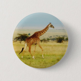 Giraffe walking Masai Mara Plains, Kenya button