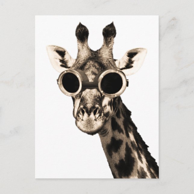 Giraffe With Steampunk Sunglasses Goggles Postcard (Front)