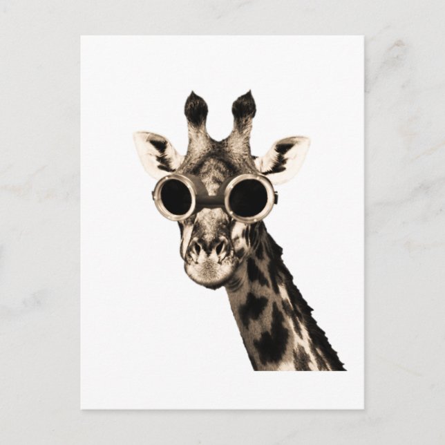 Giraffe With Steampunk Sunglasses Goggles Postcard (Front)