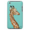 Giraffe with teal background