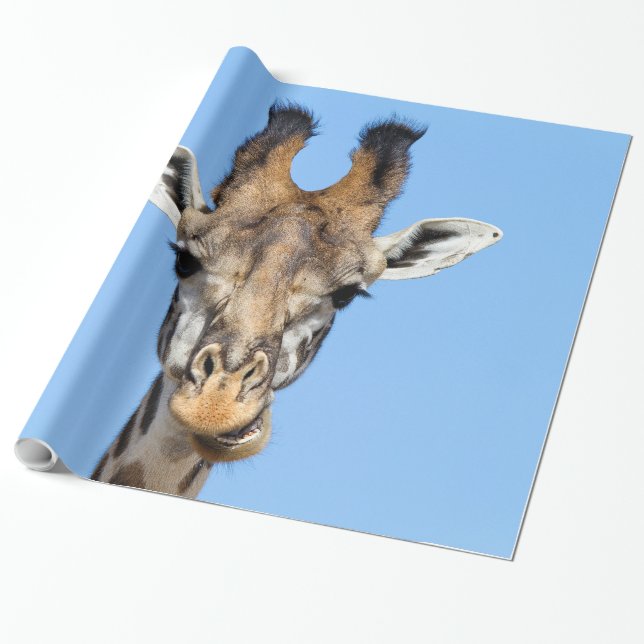 Giraffe Wrapping Paper (Unrolled)