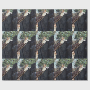 Giraffe Wrapping Paper