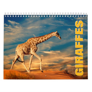 Giraffes 2022 Calendrier mural