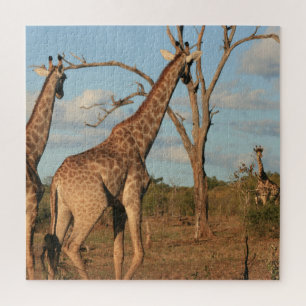 Giraffes 20" x 20" Jigsaw Puzzle