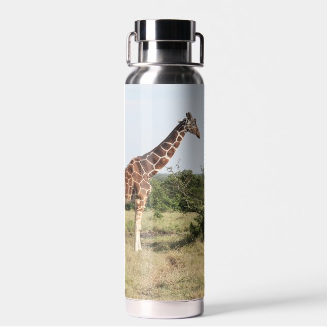 Giraffes 22 oz. insulated water bottle (Back)