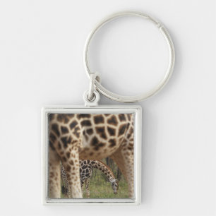 Giraffes 2 keychain