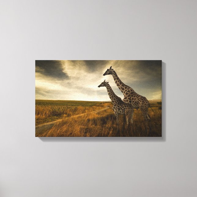 Giraffes and The Landscape Canvas Print (Front)
