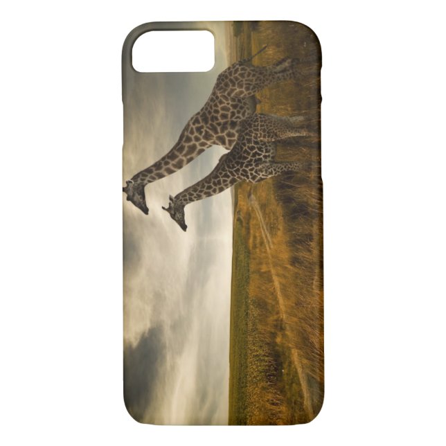Giraffes and The Landscape Case-Mate iPhone Case (Back)