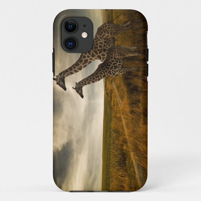 Giraffes and The Landscape Case-Mate iPhone Case (Back)