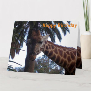 Giraffes Are So Pretty, Jumbo Birthday Card, Card