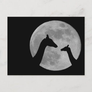 Giraffes At Fullmoon Night Postcard