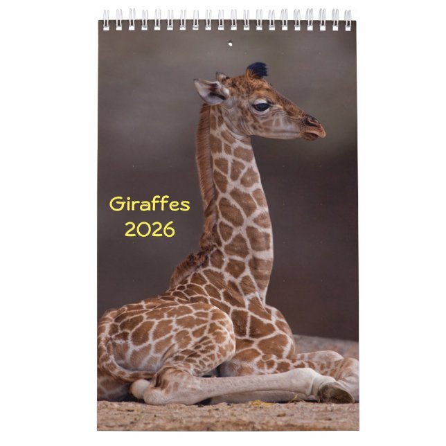 Giraffes Calendar (Cover)