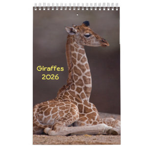 Giraffes Calendar 2025