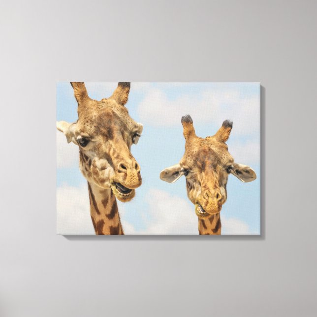 Giraffes Canvas Print (Front)