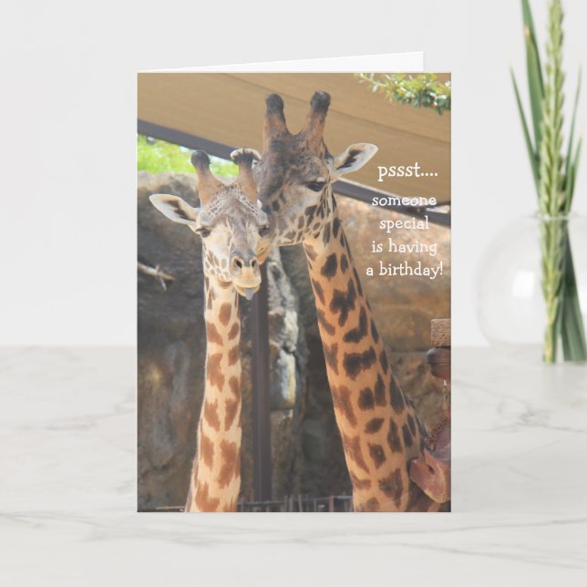 Giraffes Carte d'anniversaire pour quelqu'un de sp (Devant)