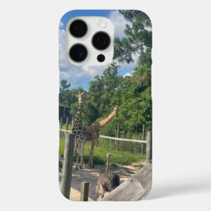 Giraffes  iPhone 16 pro case