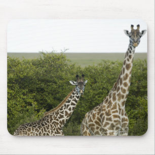 Giraffes in Kenya, Africa 2 Mouse Pad