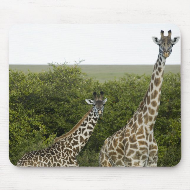 Giraffes in Kenya, Africa 2 Mouse Pad (Front)