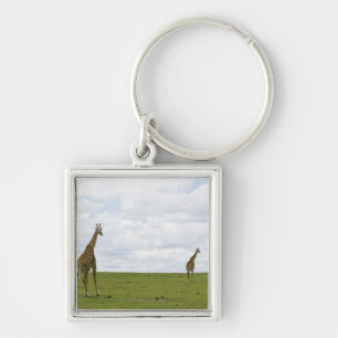 Giraffes in Kenya, Africa Keychain