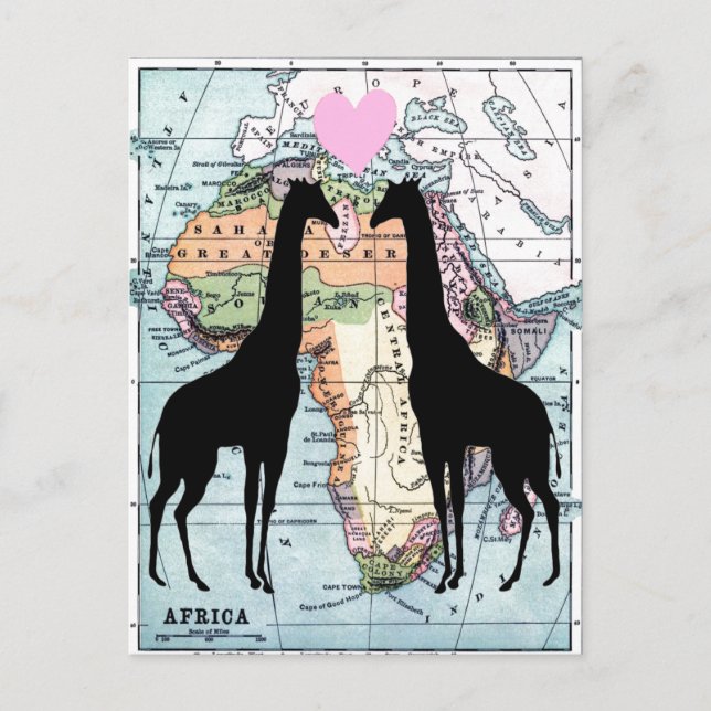 Giraffes in love postcard (Front)