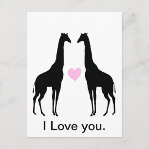 Giraffes in Love Postcard