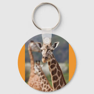 giraffes keychain