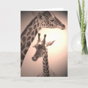 giraffes, mother and child card