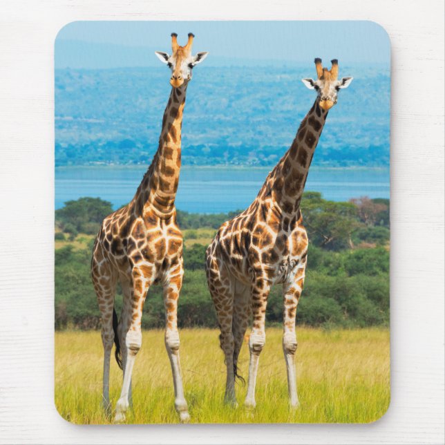 Giraffes on the Savanna, Uganda Mouse Pad (Front)