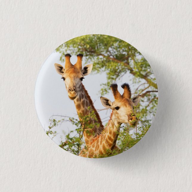 Giraffes Peeking Above Vegetation 1 Inch Round Button (Front)