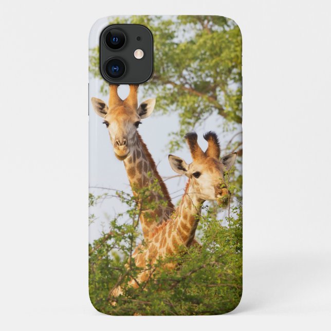 Giraffes Peeking Above Vegetation Case-Mate iPhone Case (Back)