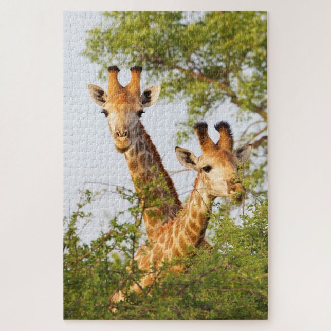 Giraffes Peeking Above Vegetation Jigsaw Puzzle (Vertical)
