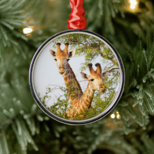 Giraffes Peeking Above Vegetation Metal Ornament
