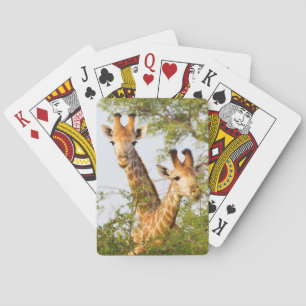 Giraffes Peeking Above Vegetation Playing Cards