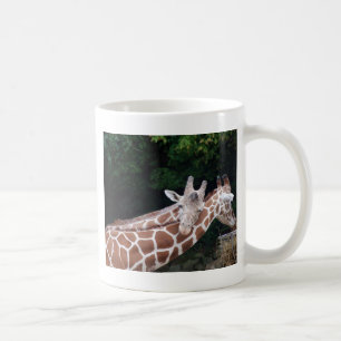 giraffes rubbing necks coffee mug