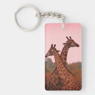 Giraffes standing in mopani trees with pink sky keychain